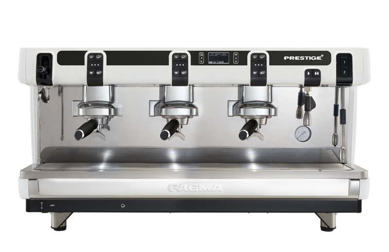 food in a plate